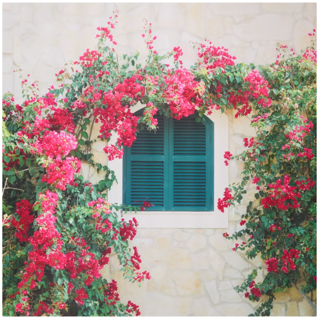 Garden Collection tuindoek