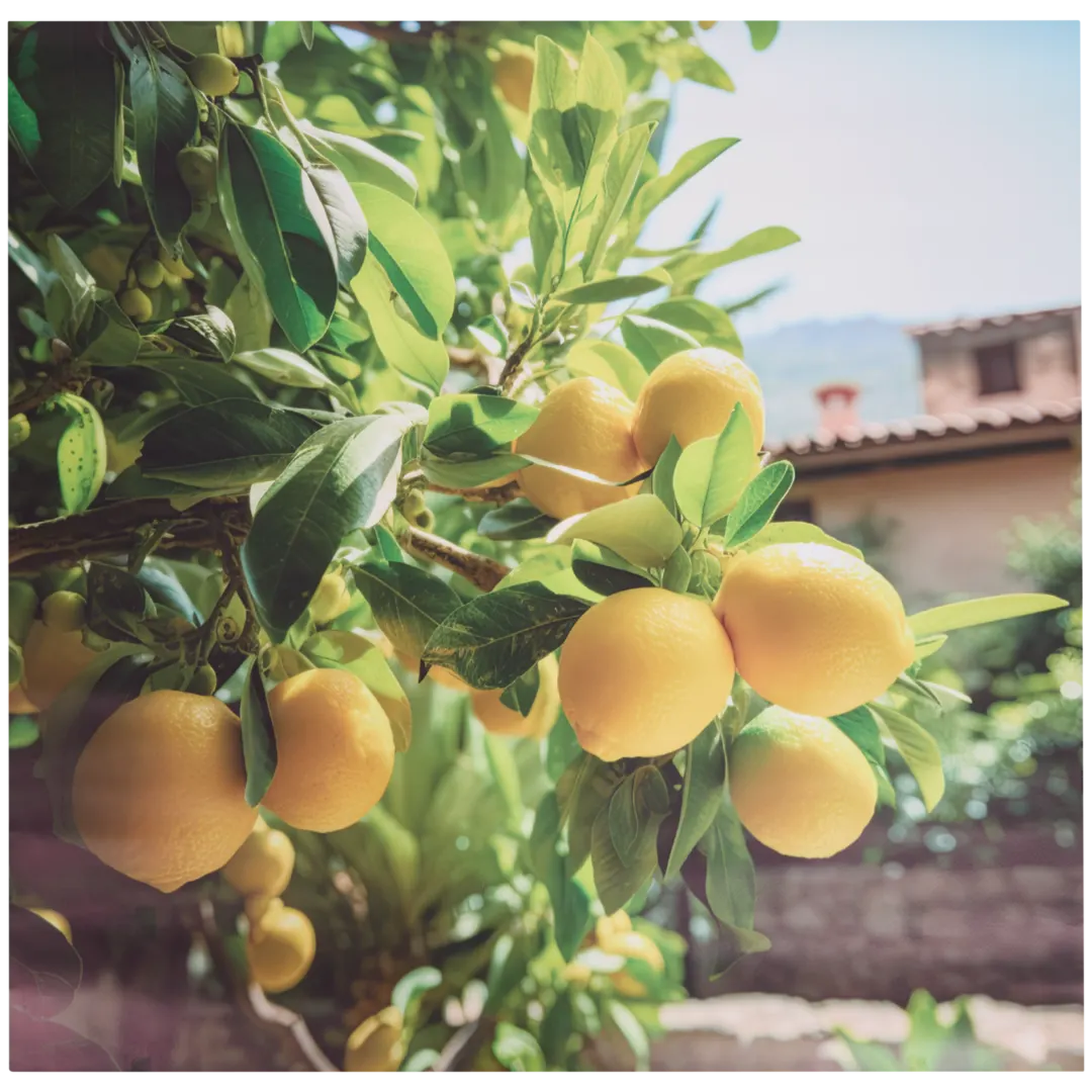 Garden Collection tuindoek