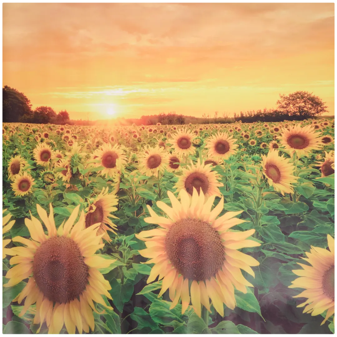 Garden Collection tuindoek