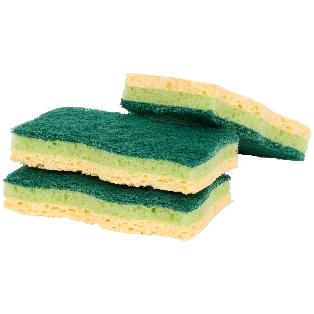 Éponges à récurer Nicols 1
