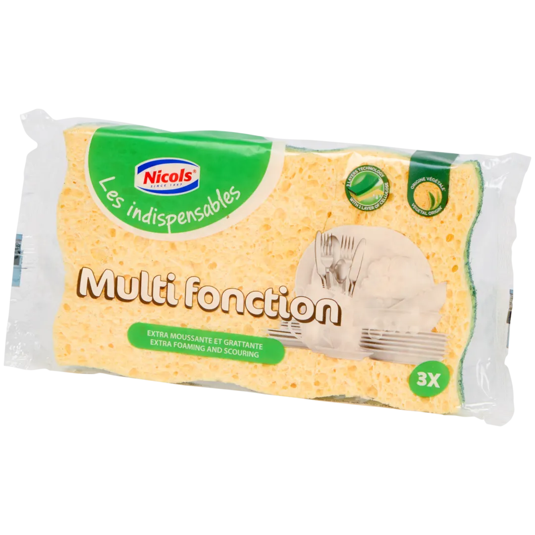 Éponges à récurer Nicols 2