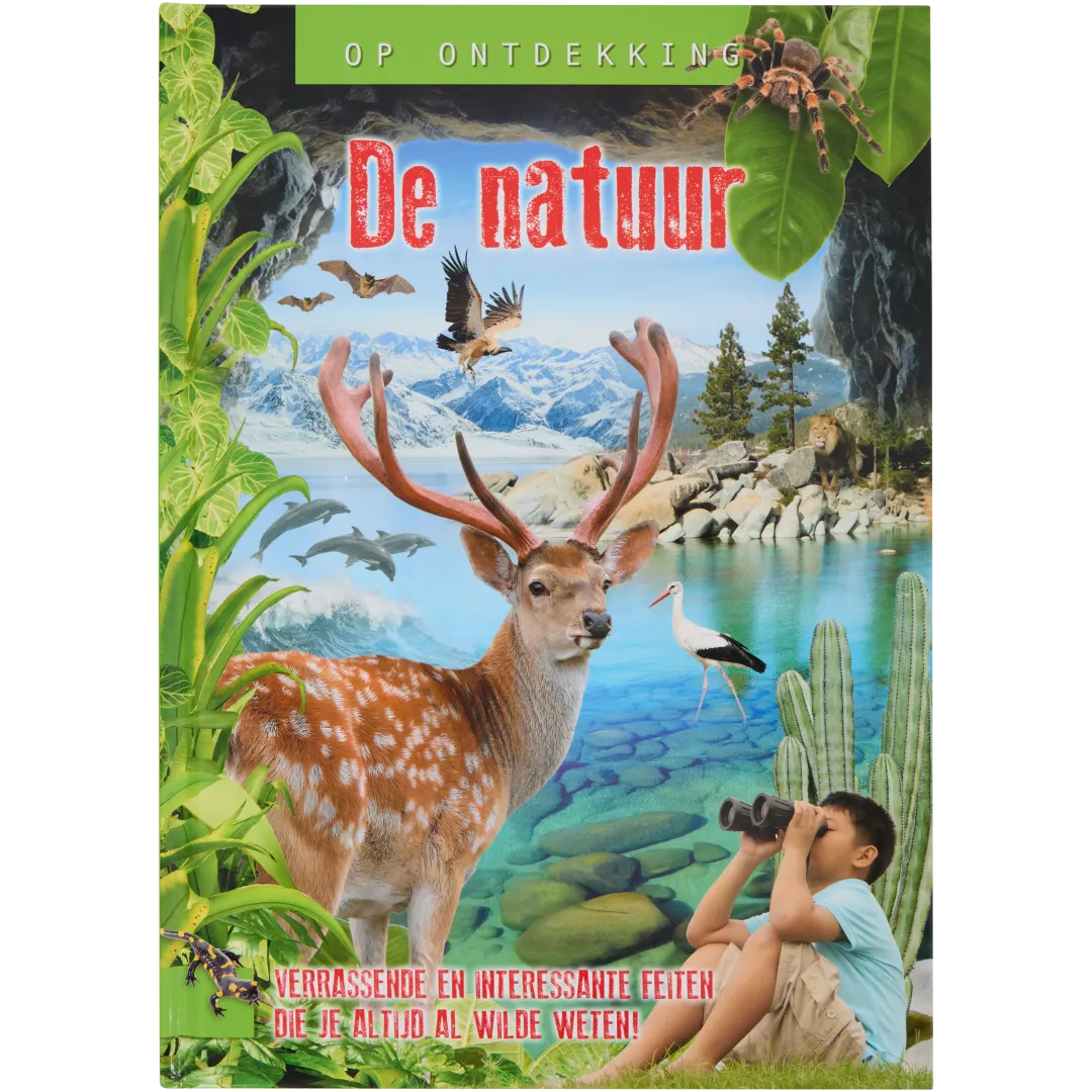 Ontdekkingsboek 5
