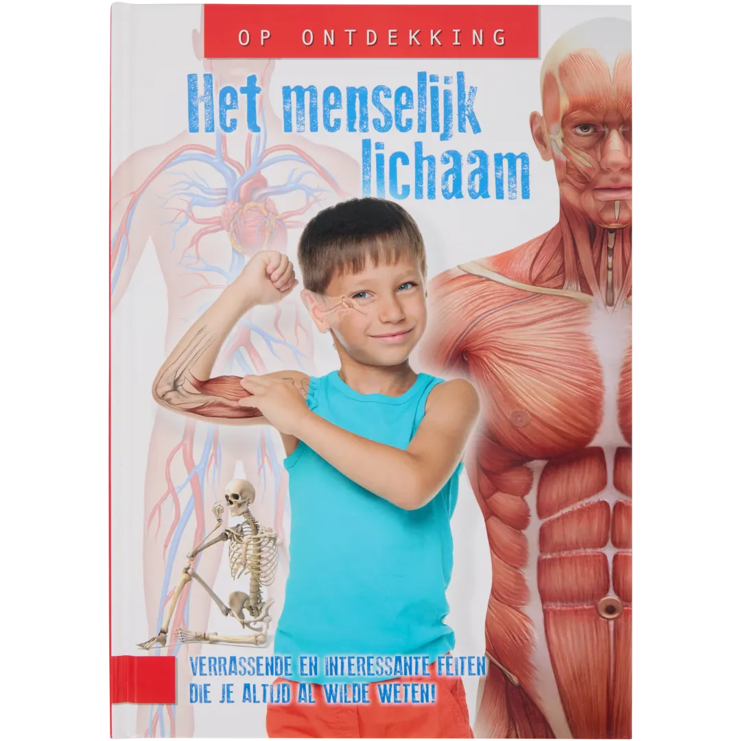 Ontdekkingsboek 4
