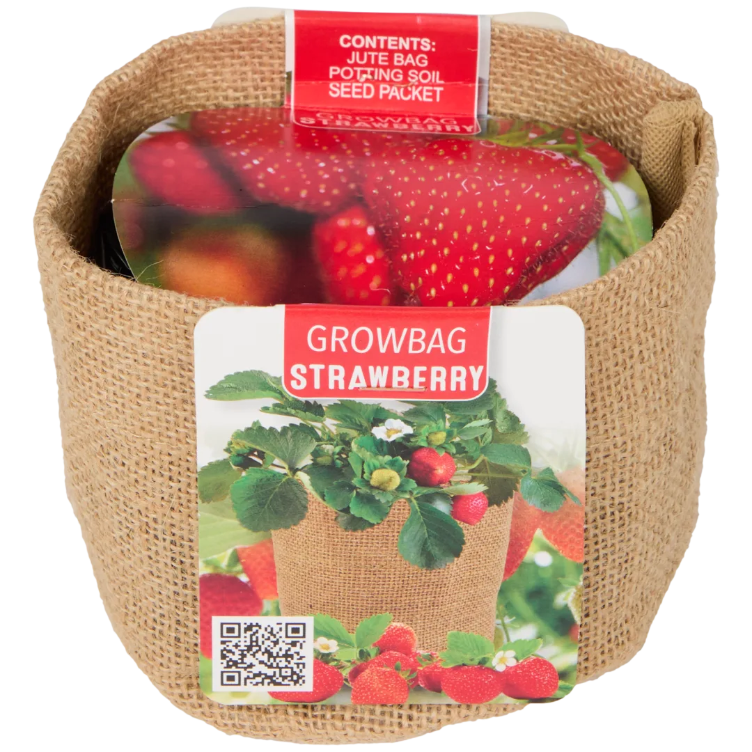 Kit prêt à pousser 3