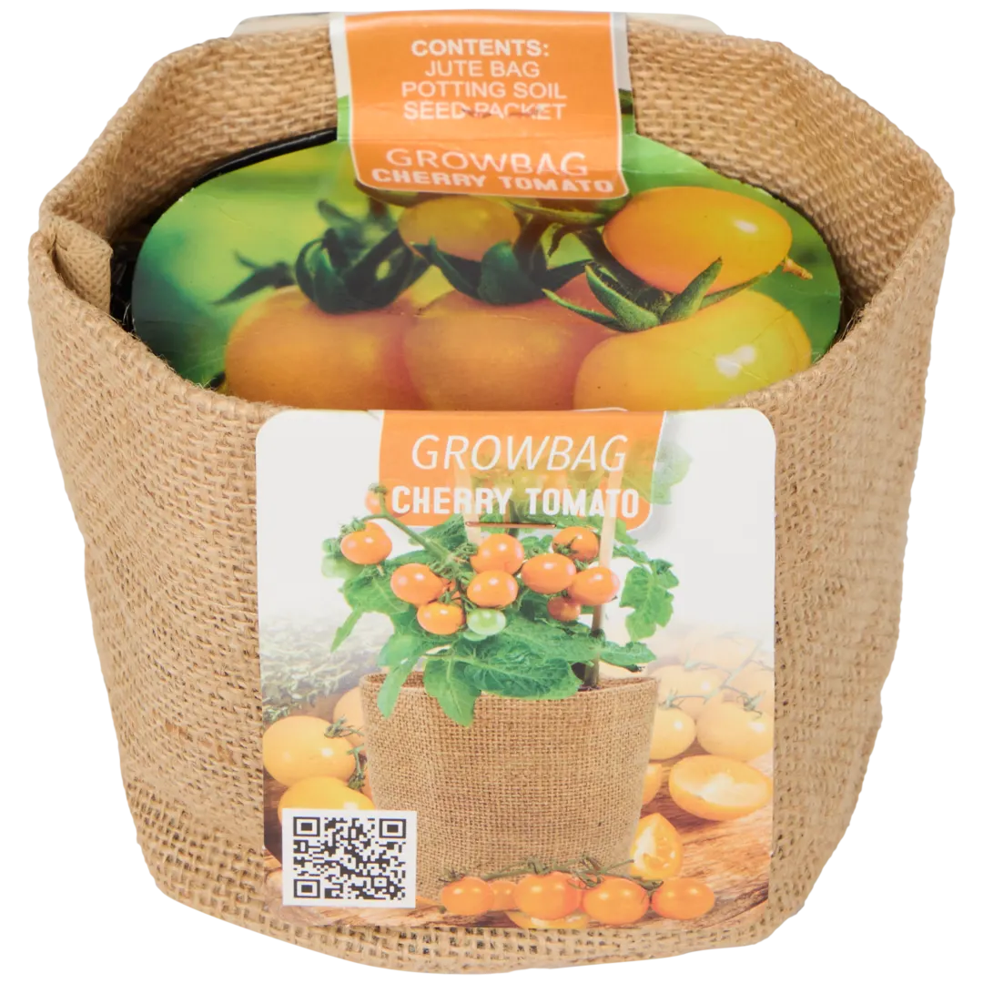 Kit prêt à pousser 2