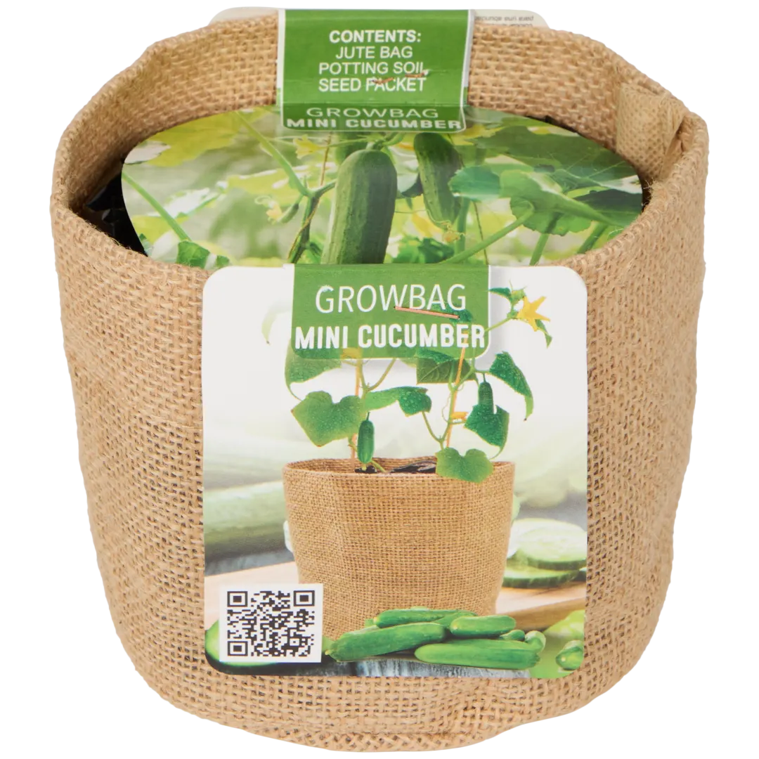 Kit prêt à pousser 1