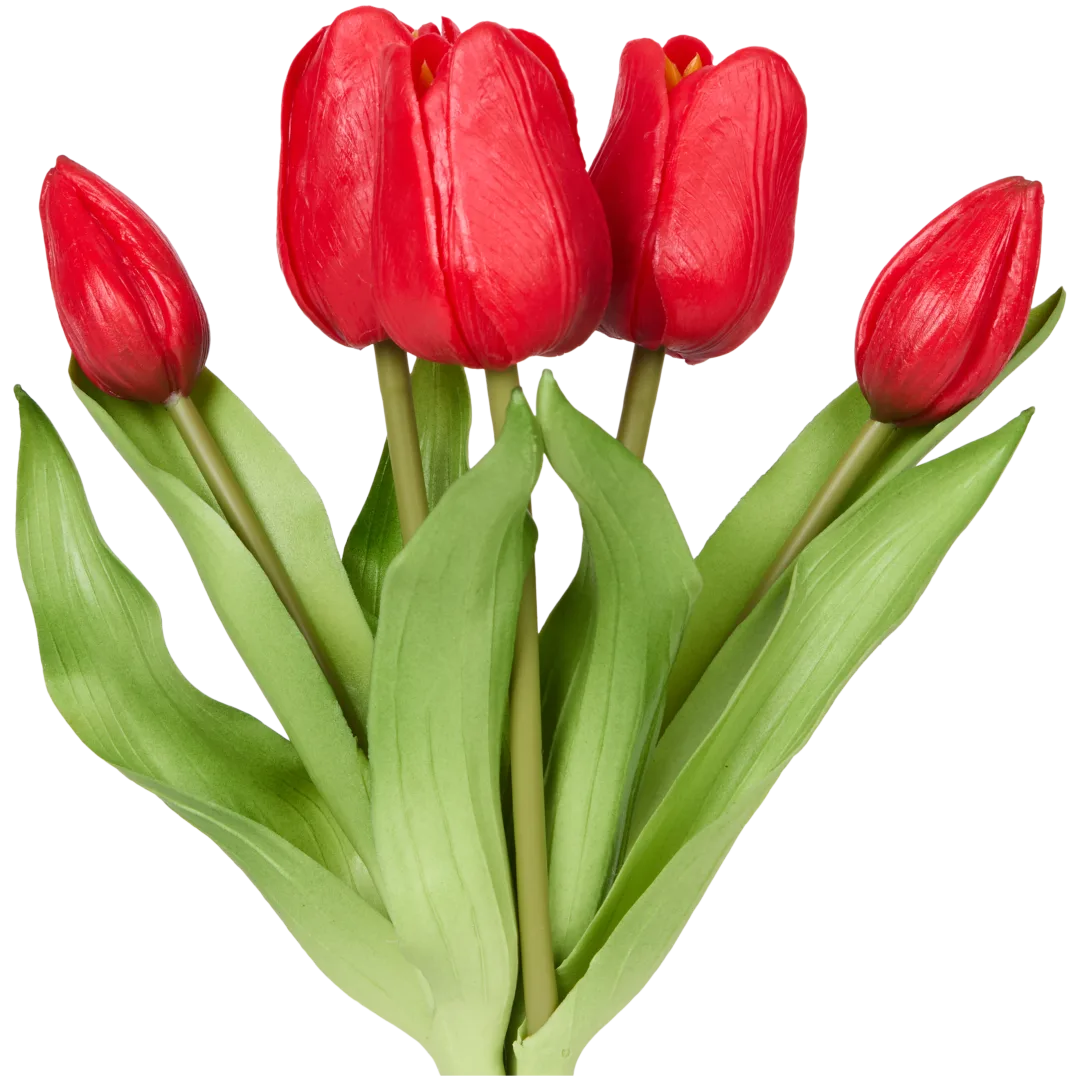 Tulipes artificielles 5