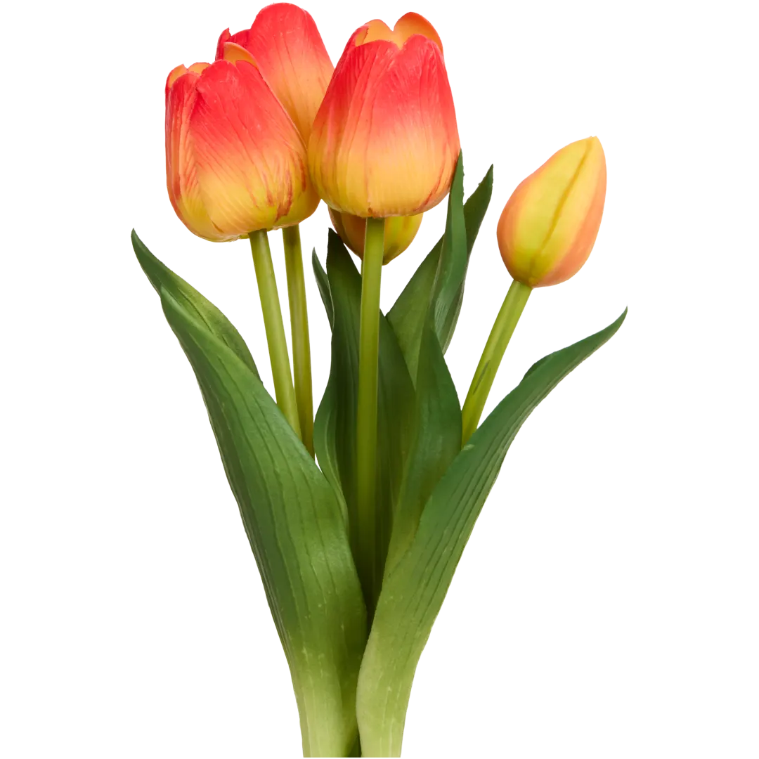 Umelé tulipány Willow & Bloom 5