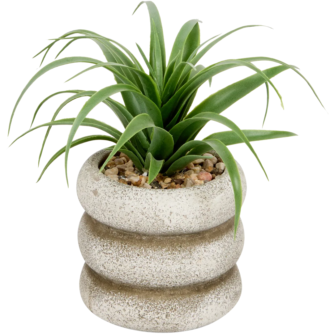 Kunstsukkulente im Topf