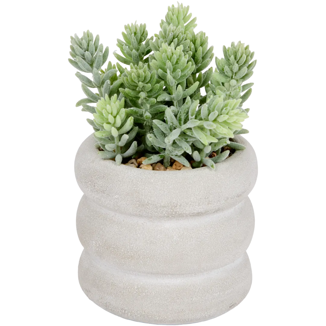 Kunstsukkulente im Topf