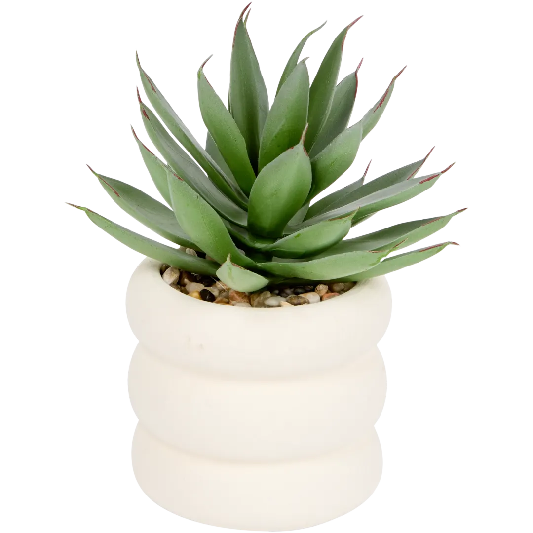 Kunstsukkulente im Topf