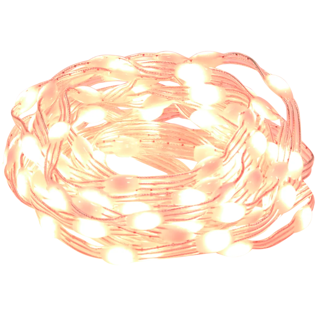Guirlande lumineuse LED avec musique Eurodomest
