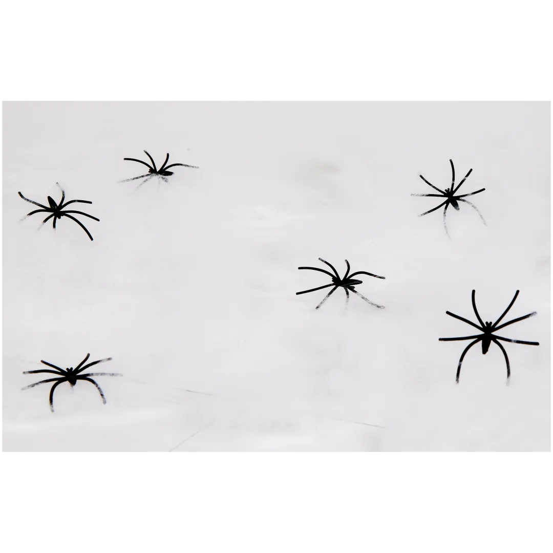 Décoration toile d’araignée