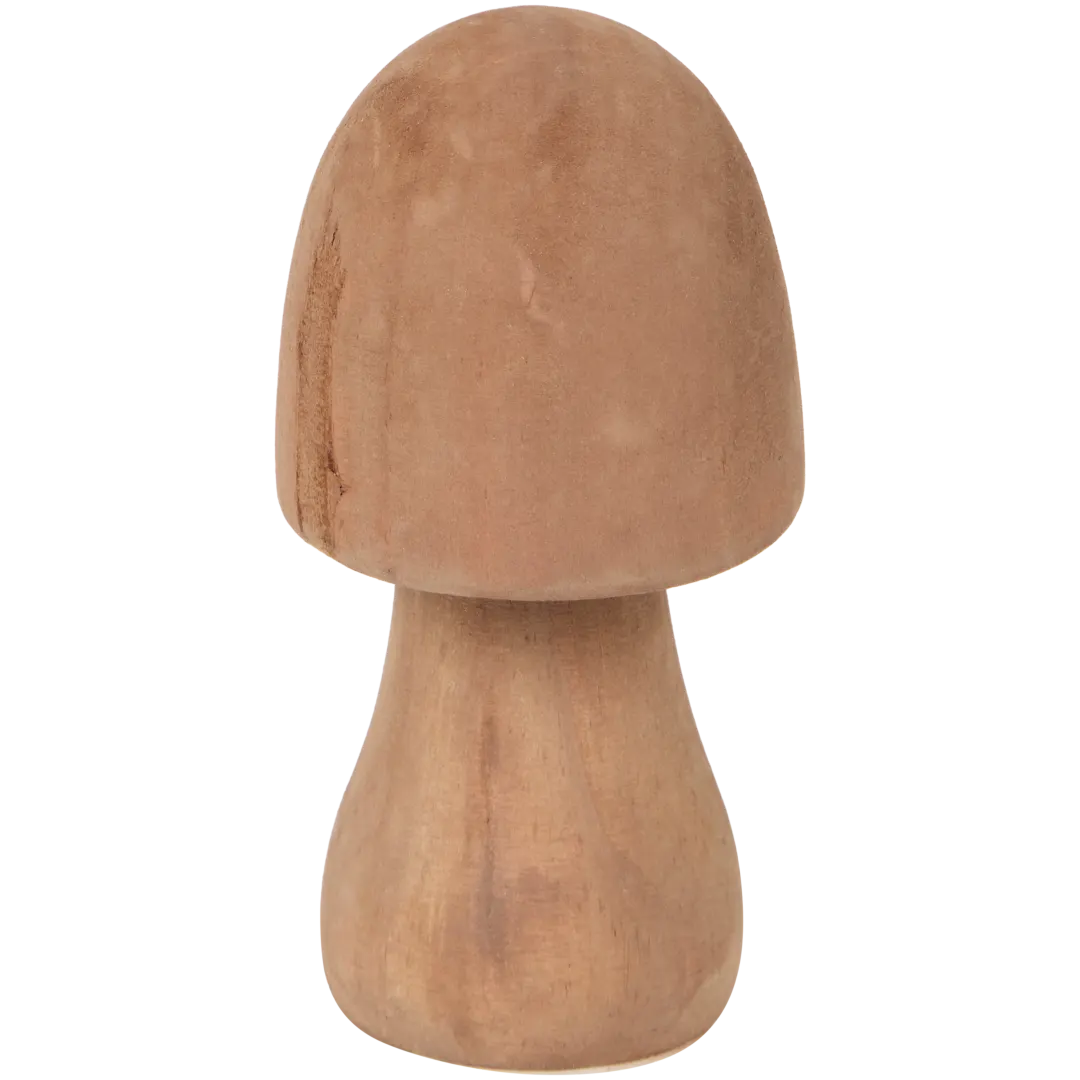 Ciupercă ornamentală