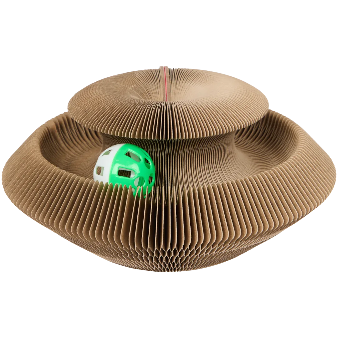 Labirinto arranhador para gatos Pet Dreamteam 3