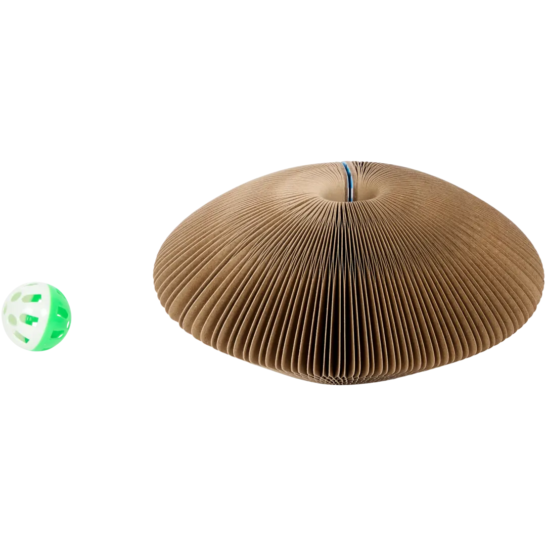 Labirinto arranhador para gatos Pet Dreamteam