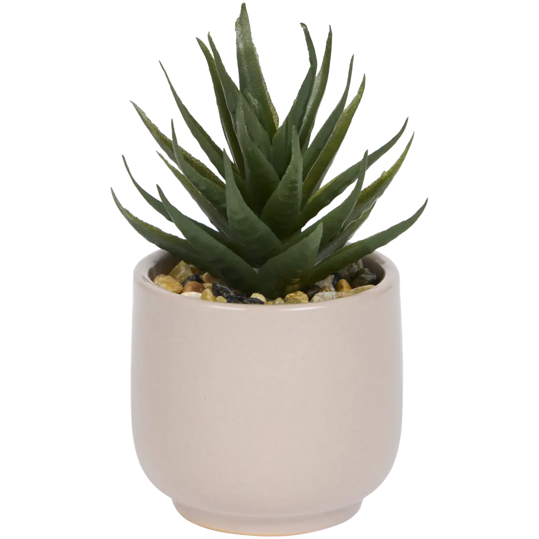 Pianta grassa finta in vaso Home Accents 5