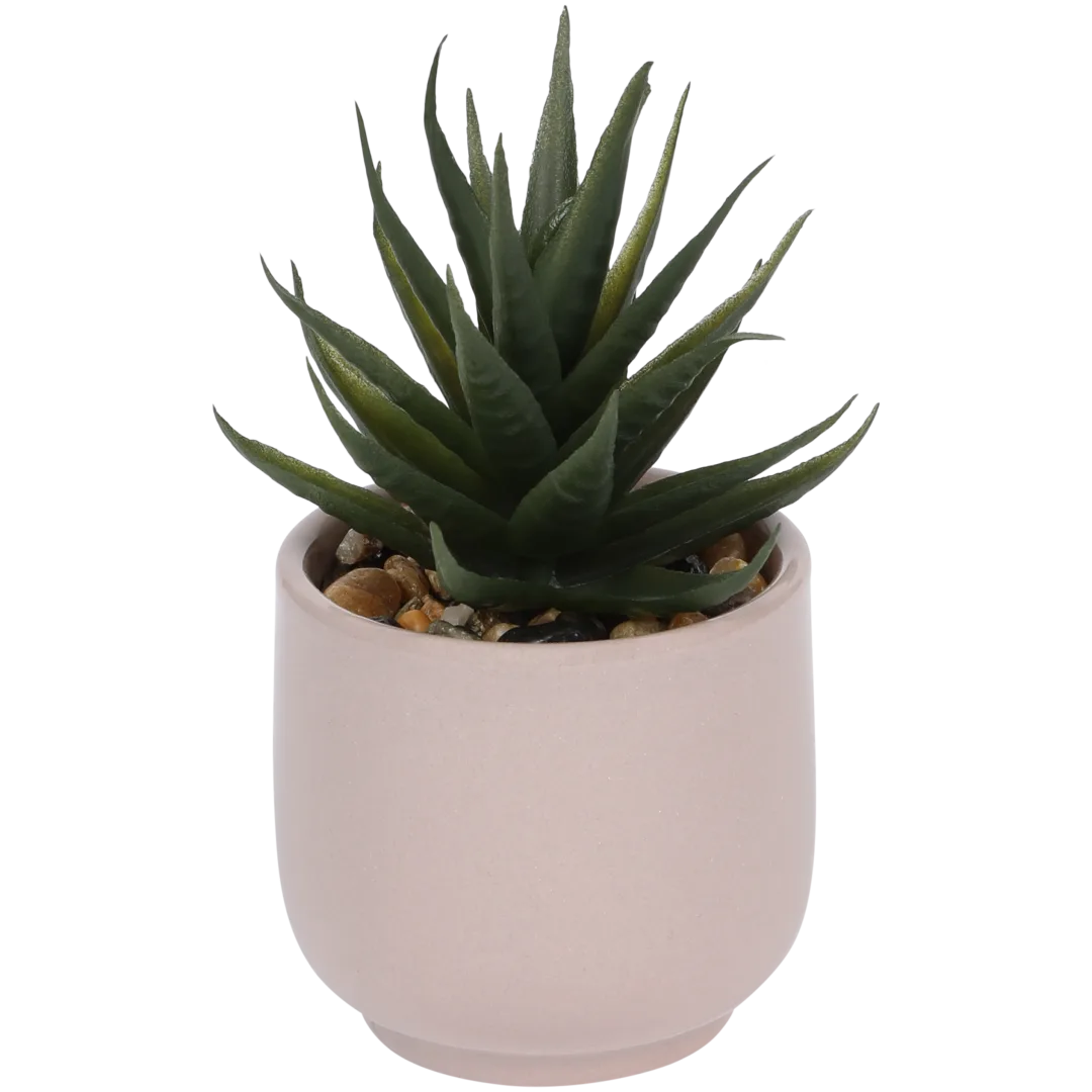 Pianta grassa finta in vaso Home Accents 7