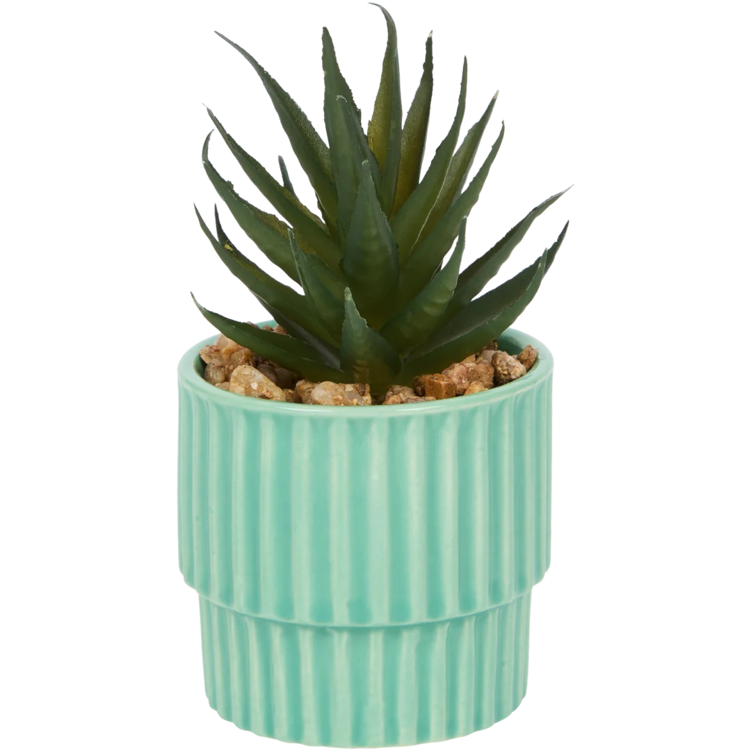 Home Accents Künstliche Sukkulente im Topf