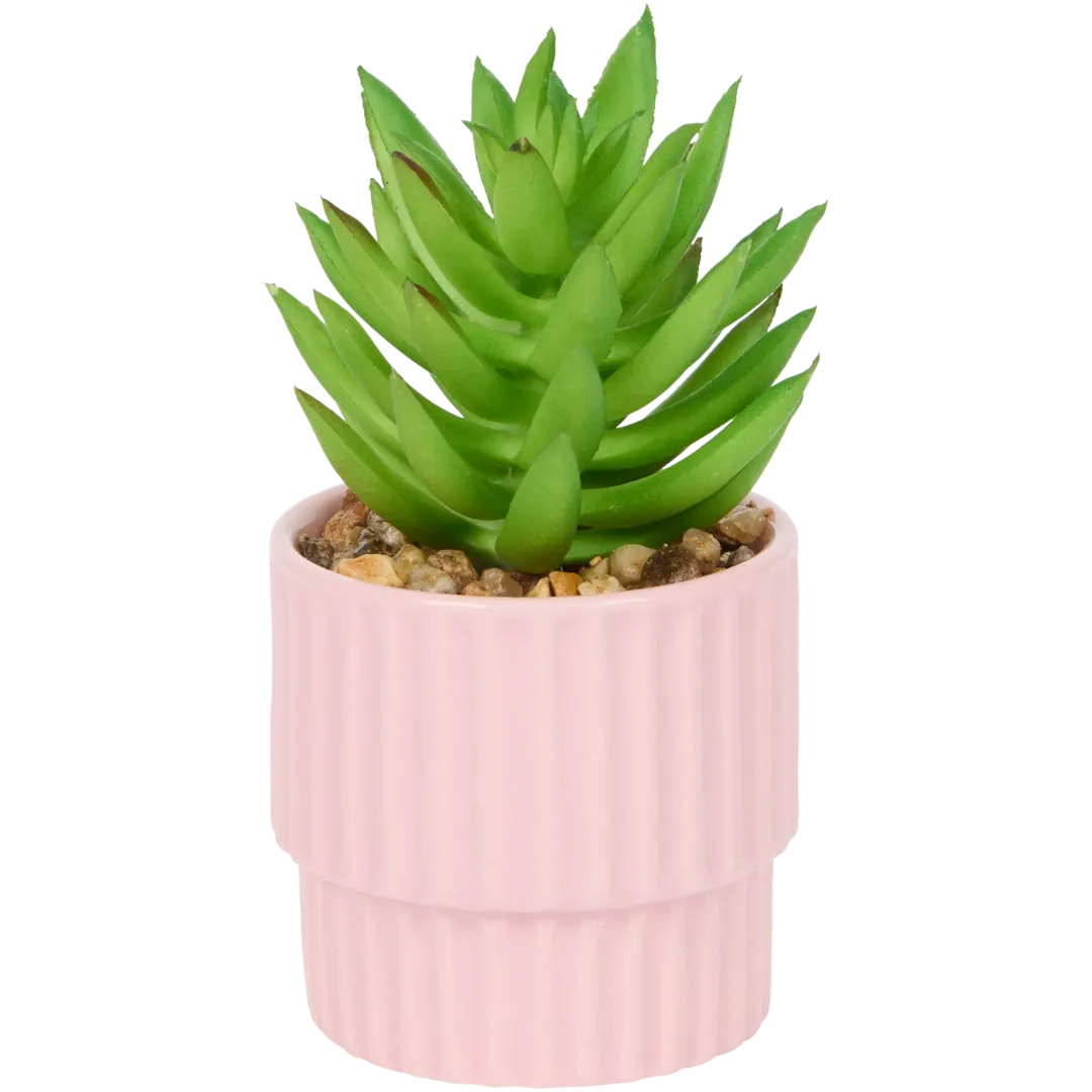 Home Accents Künstliche Sukkulente im Topf