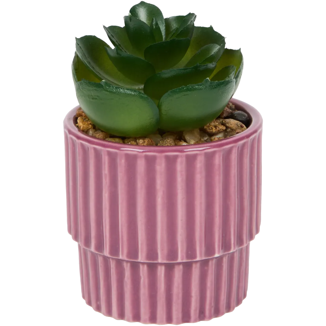 Home Accents Künstliche Sukkulente im Topf