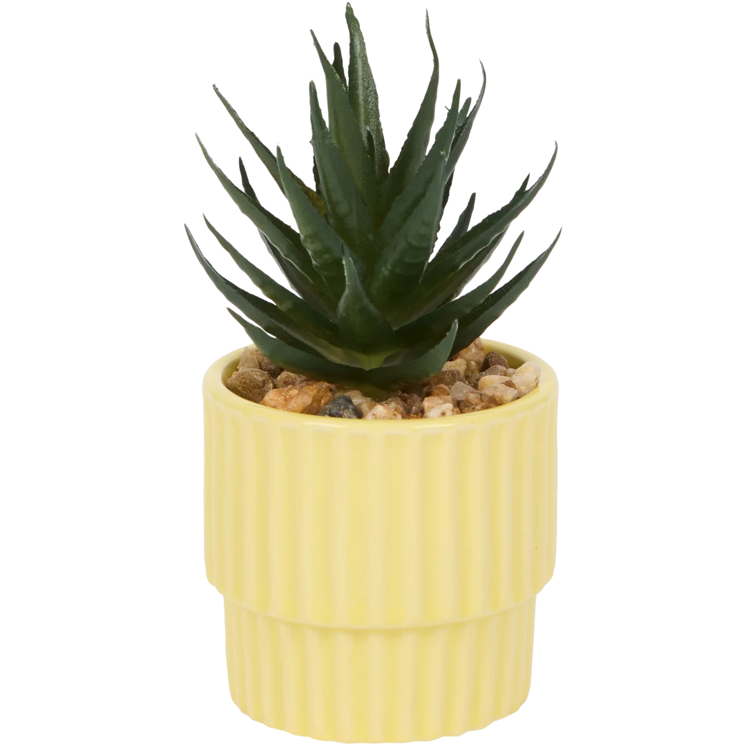 Home Accents Künstliche Sukkulente im Topf