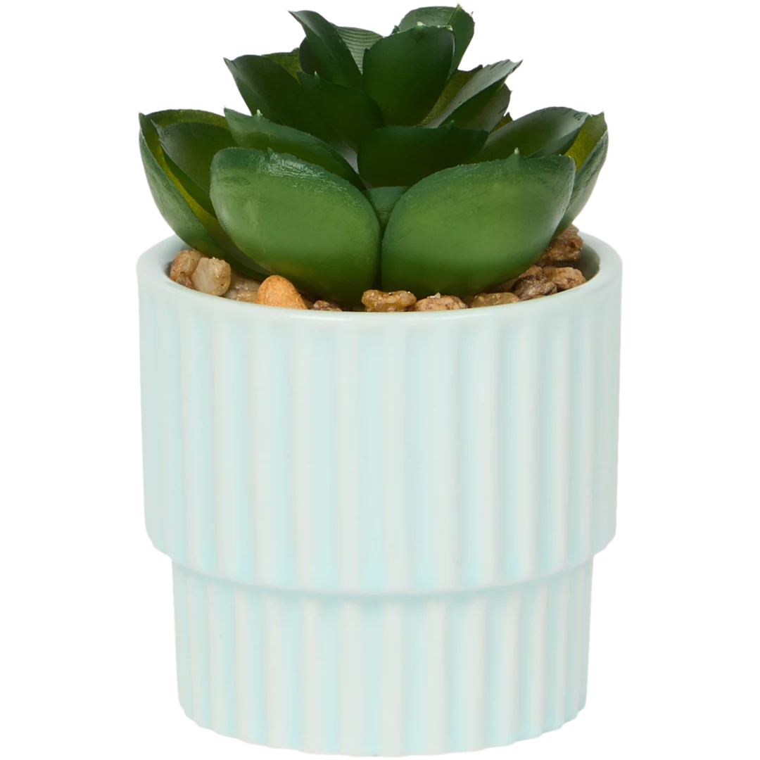 Home Accents Künstliche Sukkulente im Topf