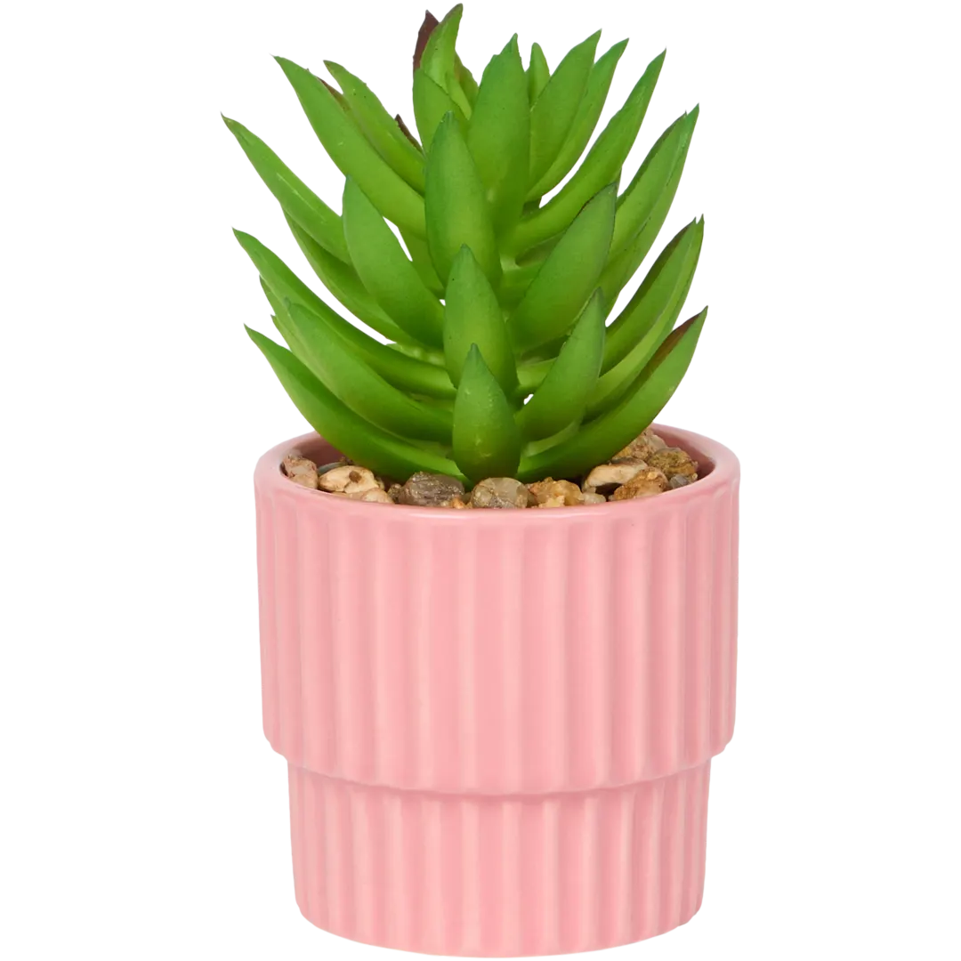 Home Accents Künstliche Sukkulente im Topf