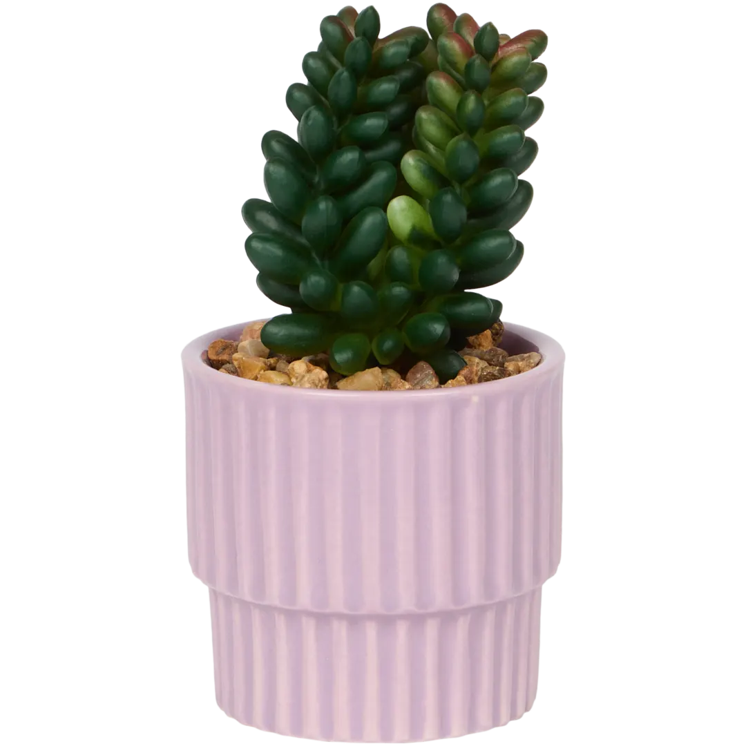 Home Accents Künstliche Sukkulente im Topf