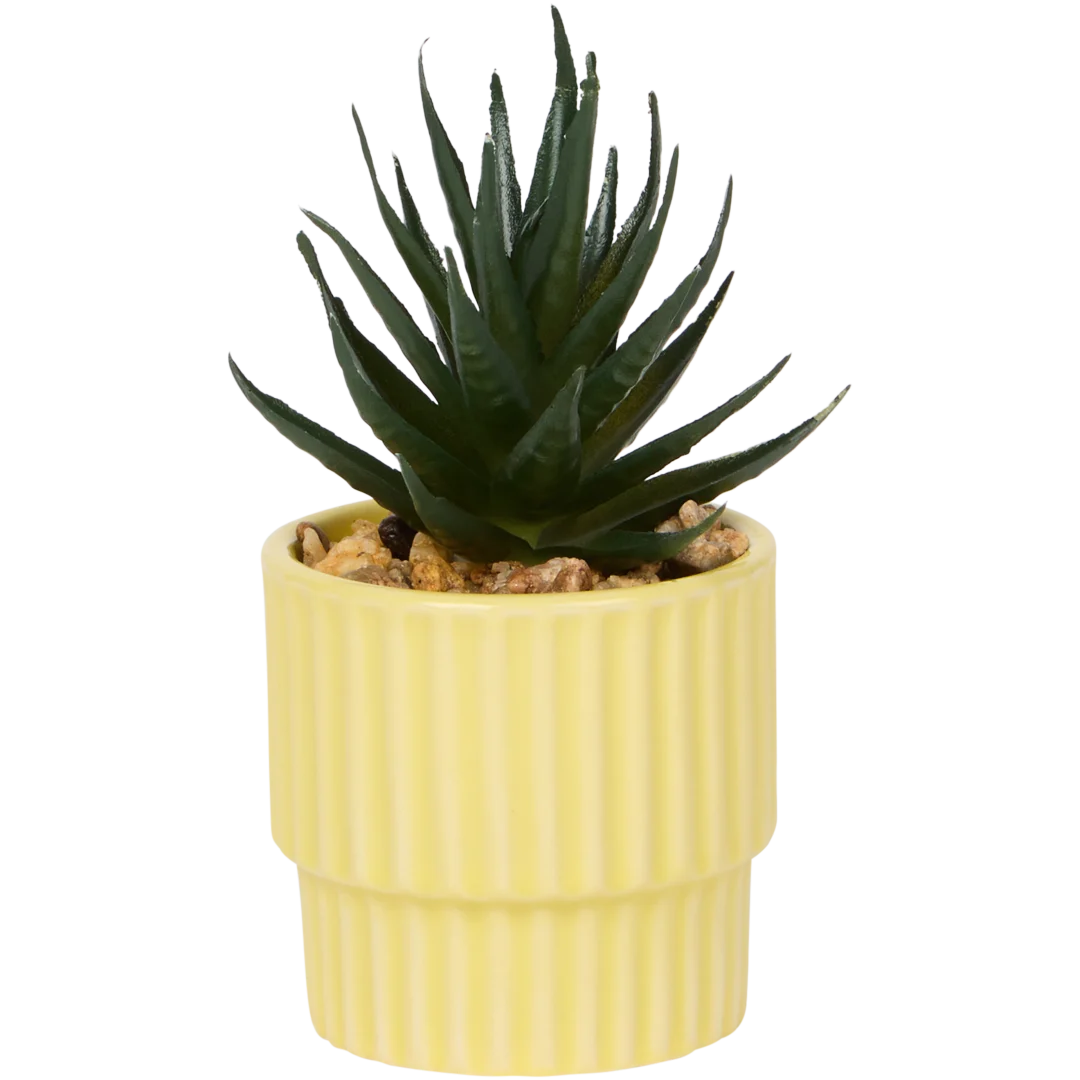 Home Accents Künstliche Sukkulente im Topf
