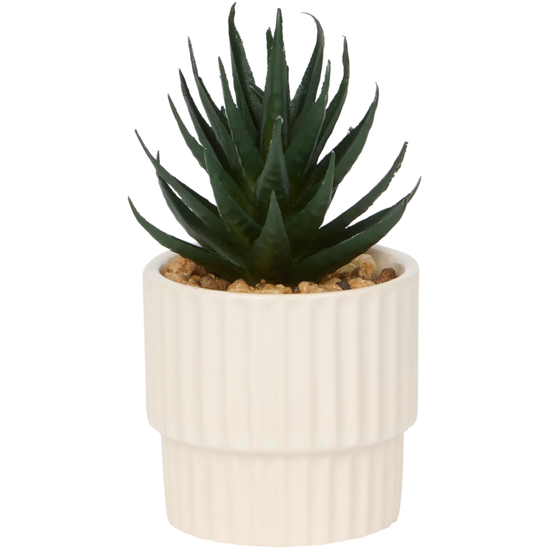 Home Accents Künstliche Sukkulente im Topf
