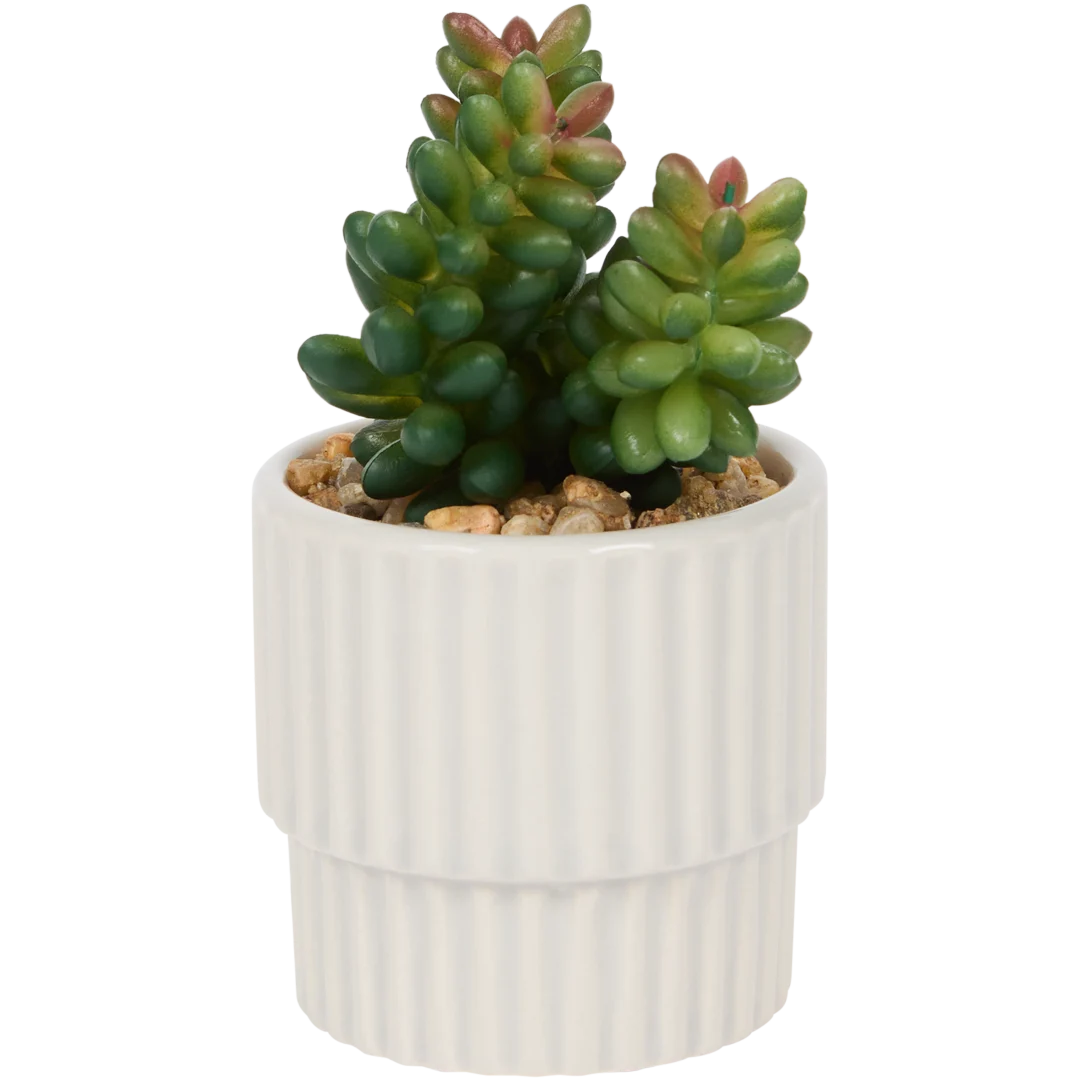 Home Accents Künstliche Sukkulente im Topf