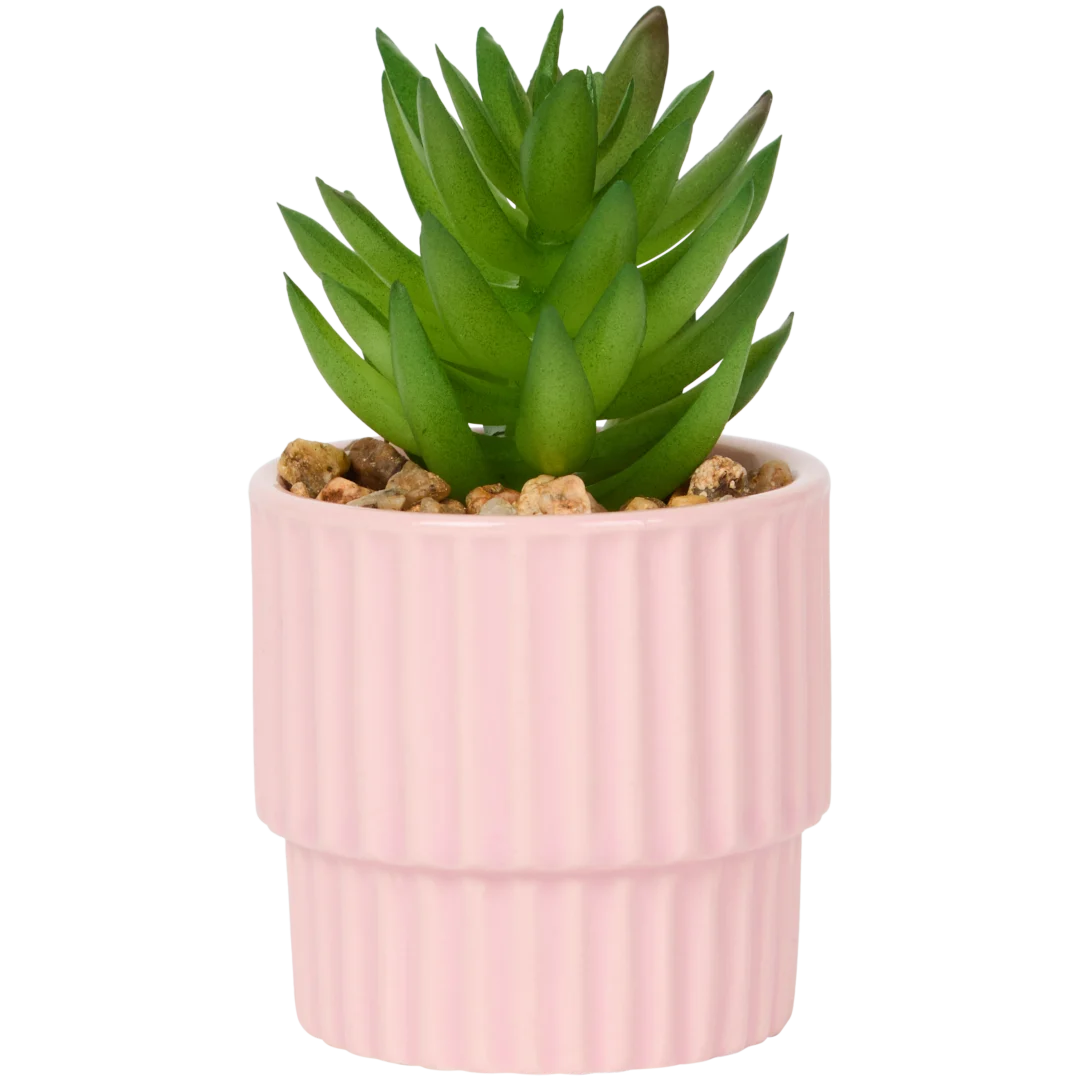 Home Accents Künstliche Sukkulente im Topf 1