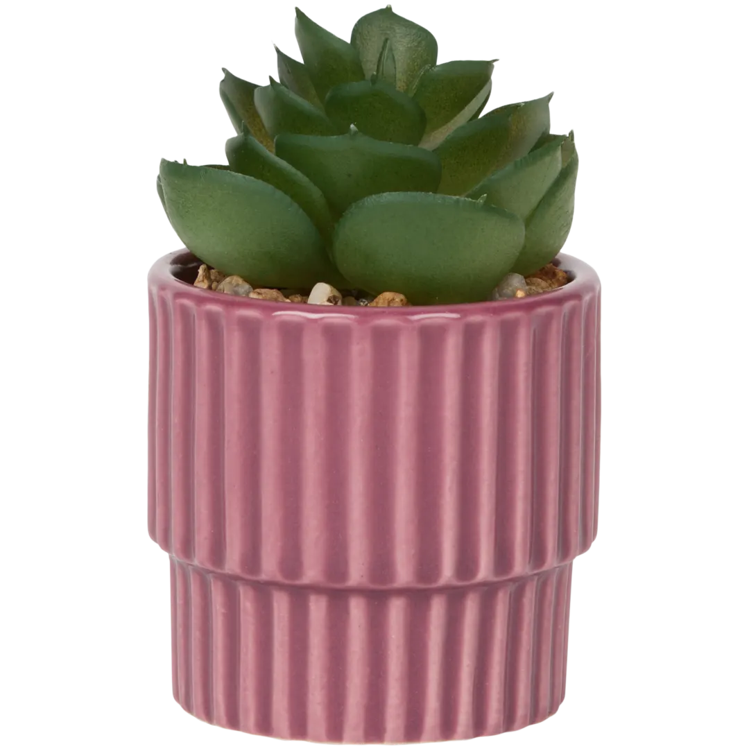 Home Accents Künstliche Sukkulente im Topf 2