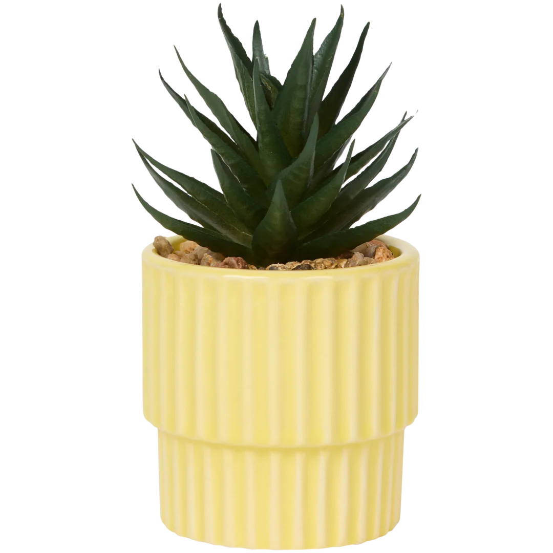 Home Accents Künstliche Sukkulente im Topf 3