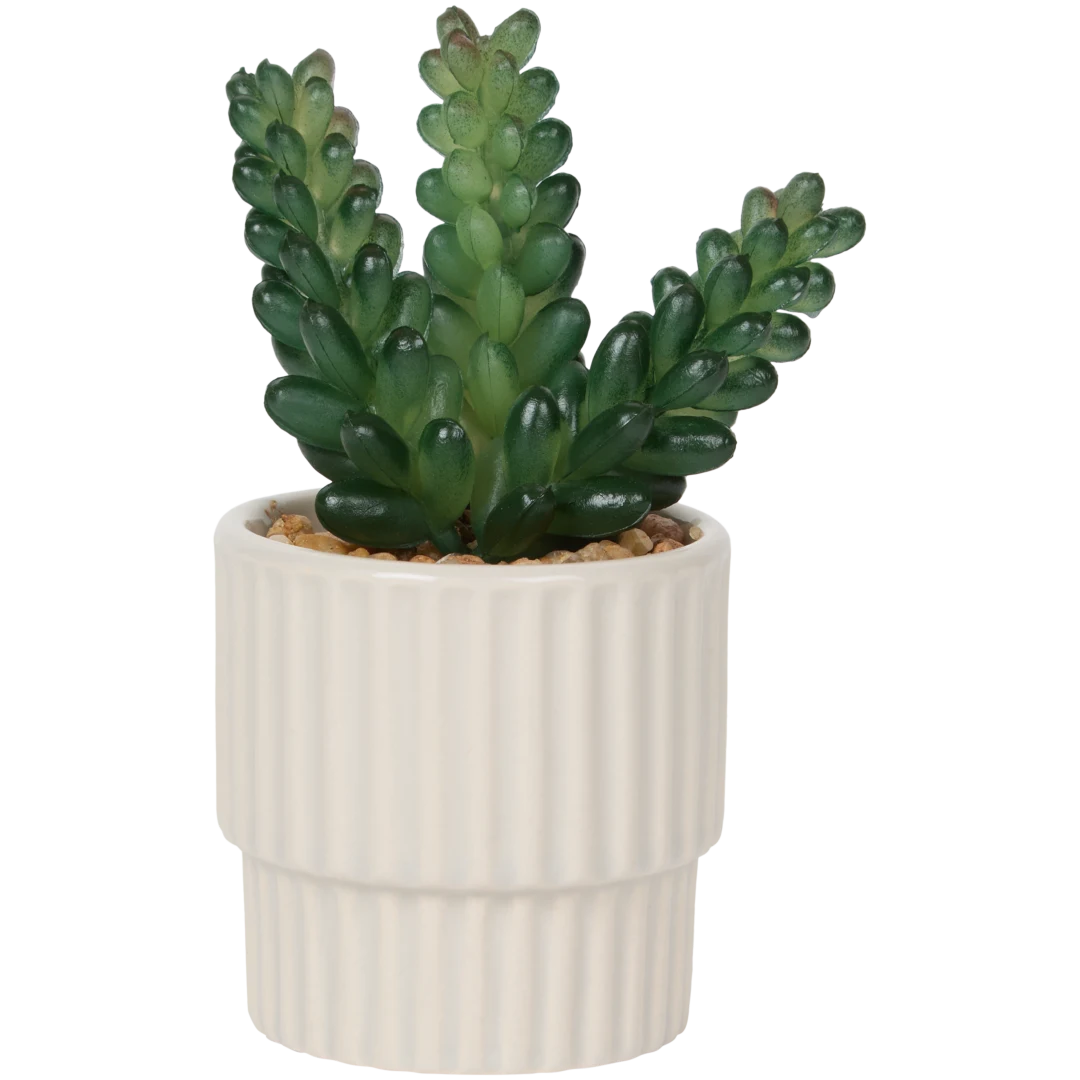 Home Accents Künstliche Sukkulente im Topf 4