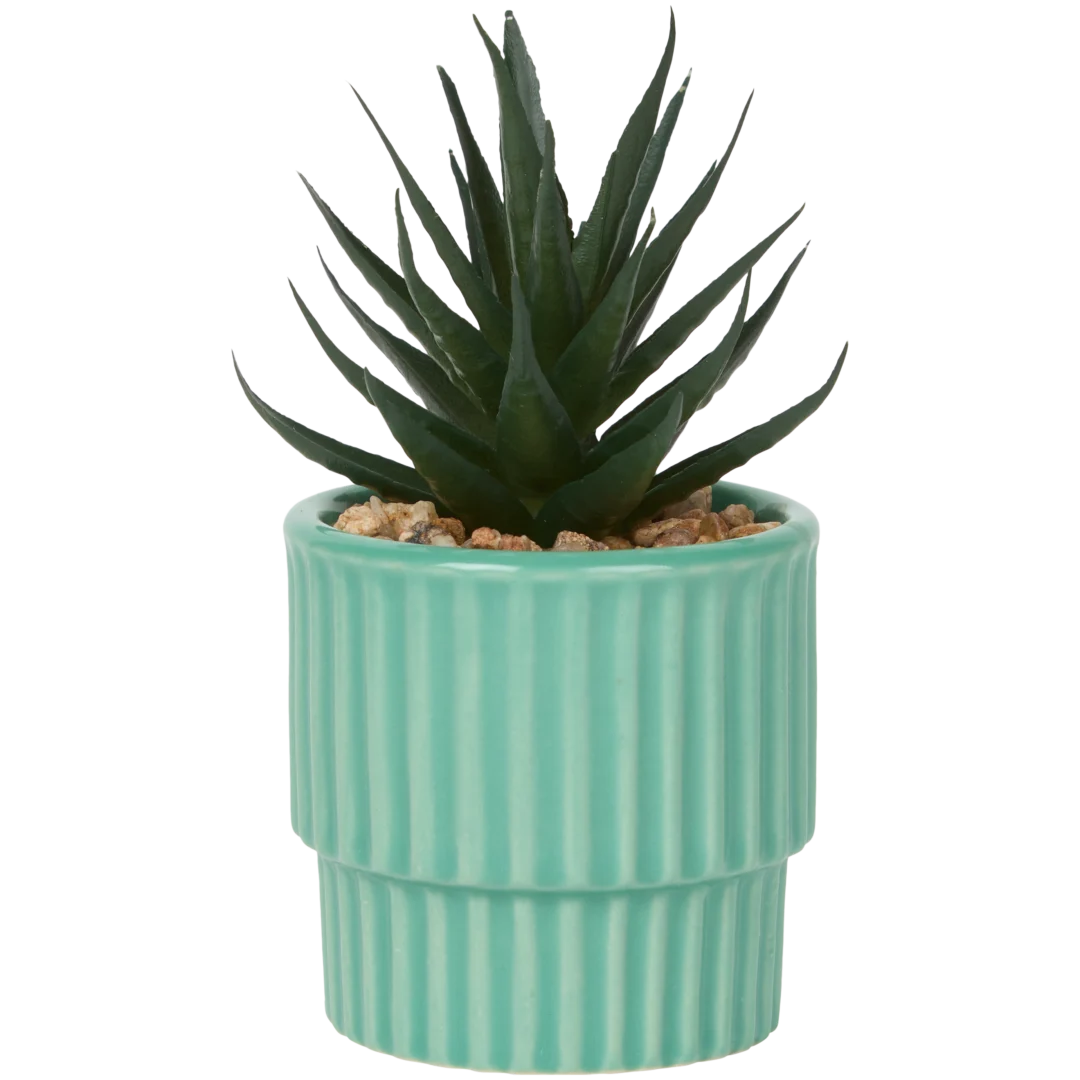 Home Accents Künstliche Sukkulente im Topf 5