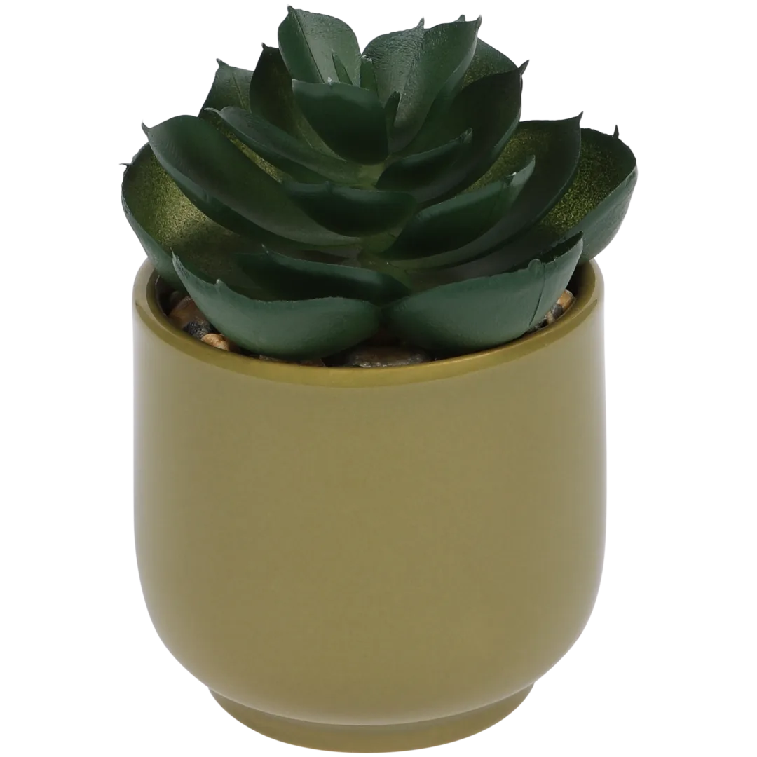Pianta grassa finta in vaso Home Accents 1