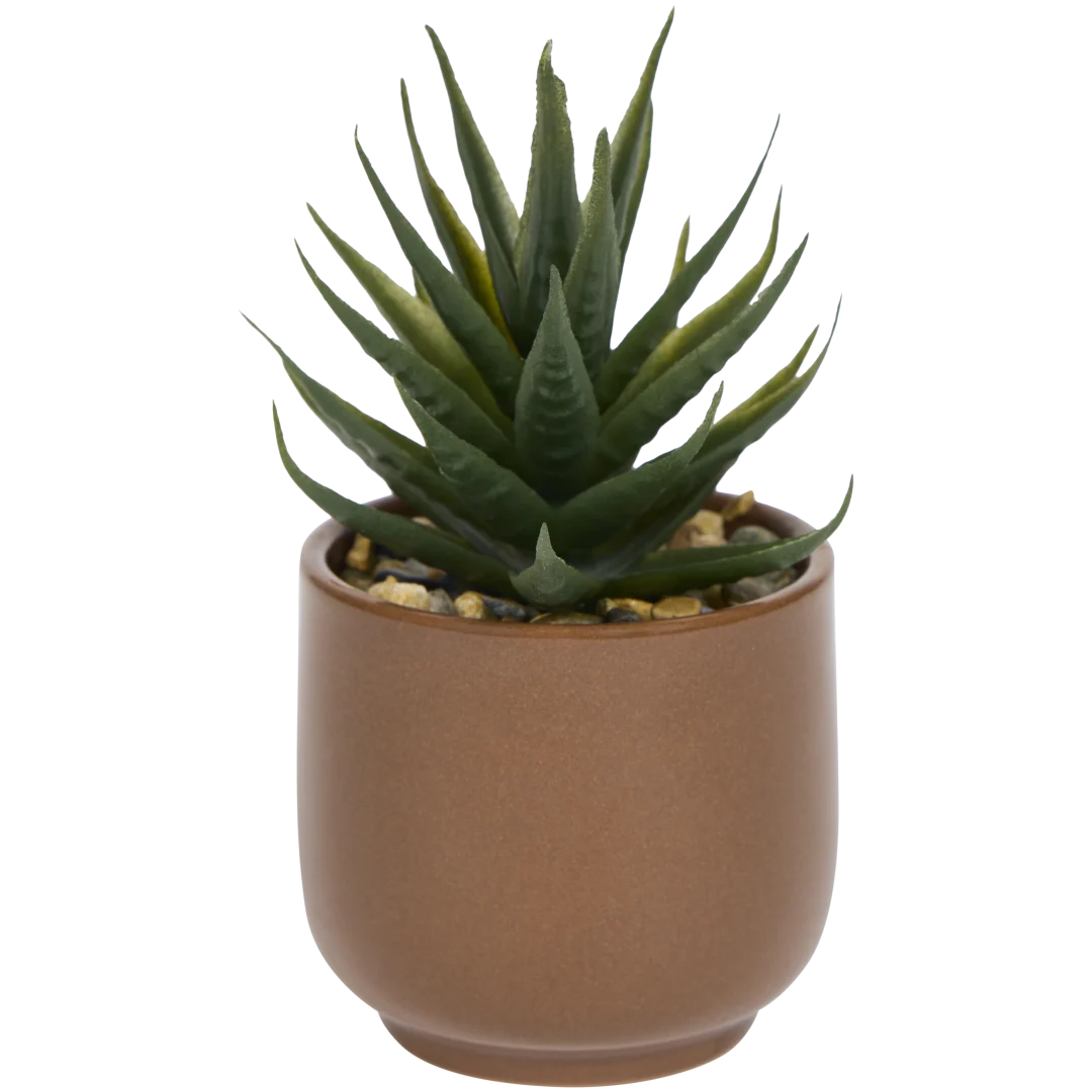 Pianta grassa finta in vaso Home Accents 4