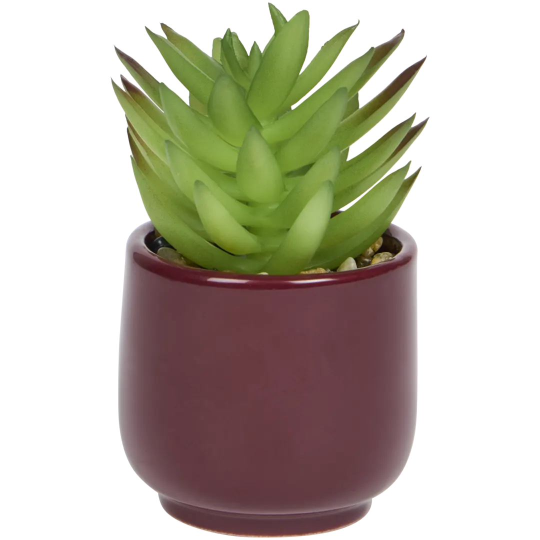 Pianta grassa finta in vaso Home Accents 3
