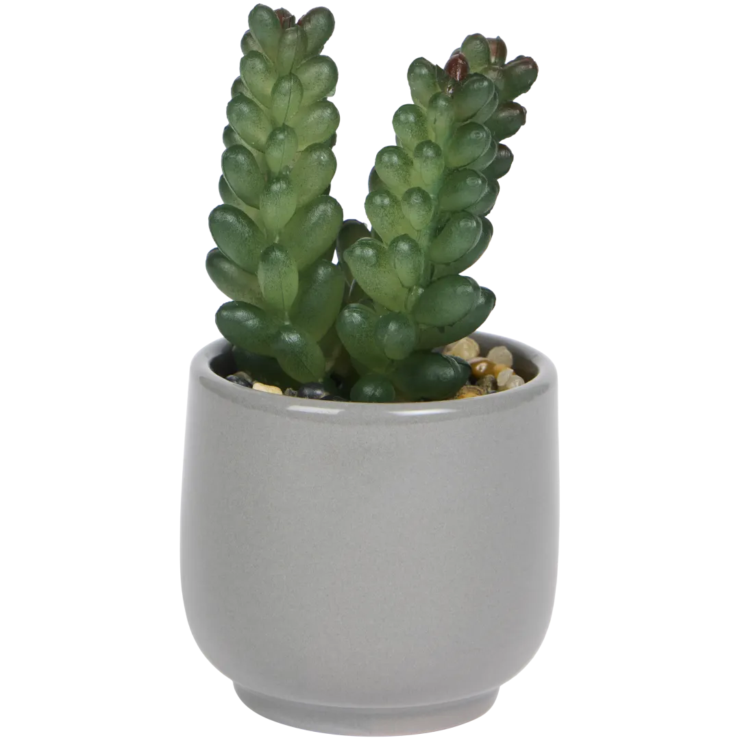 Pianta grassa finta in vaso Home Accents 2