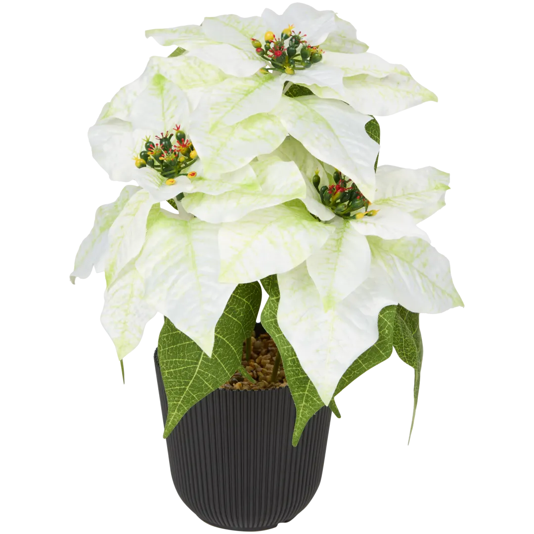 Sztuczna gwiazda betlejemska Home Accents 2