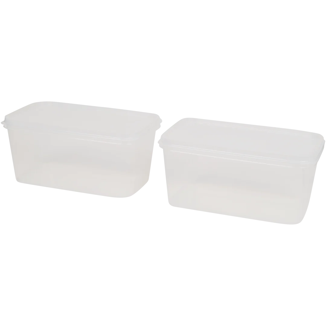 Caixas de conservação Starplast 1