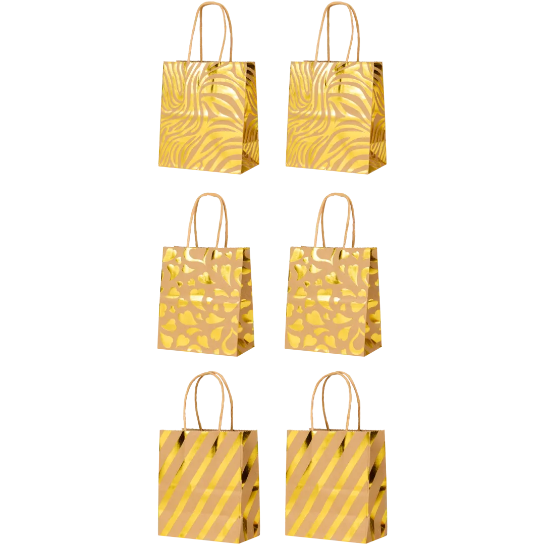 Sachets cadeaux Party Universe