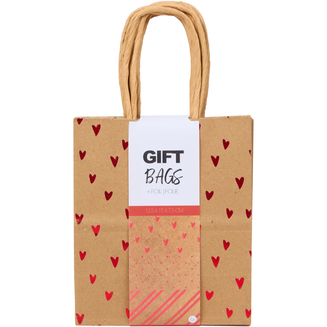 Sachets cadeaux Party Universe