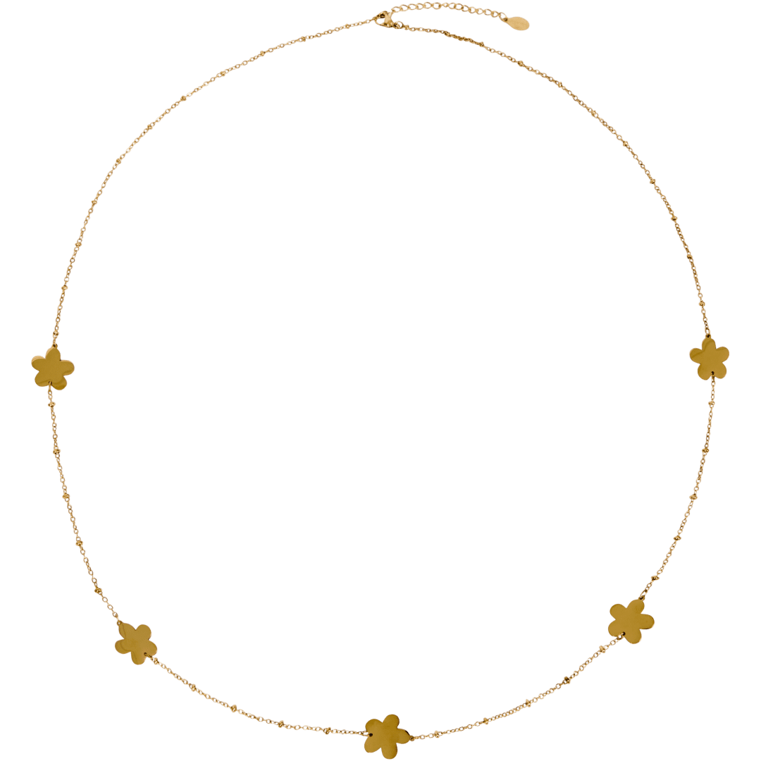 Royal Divas roestvrijstalen ketting