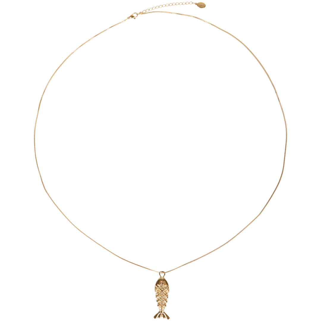 Collier en acier inoxydable Royal Divas 4