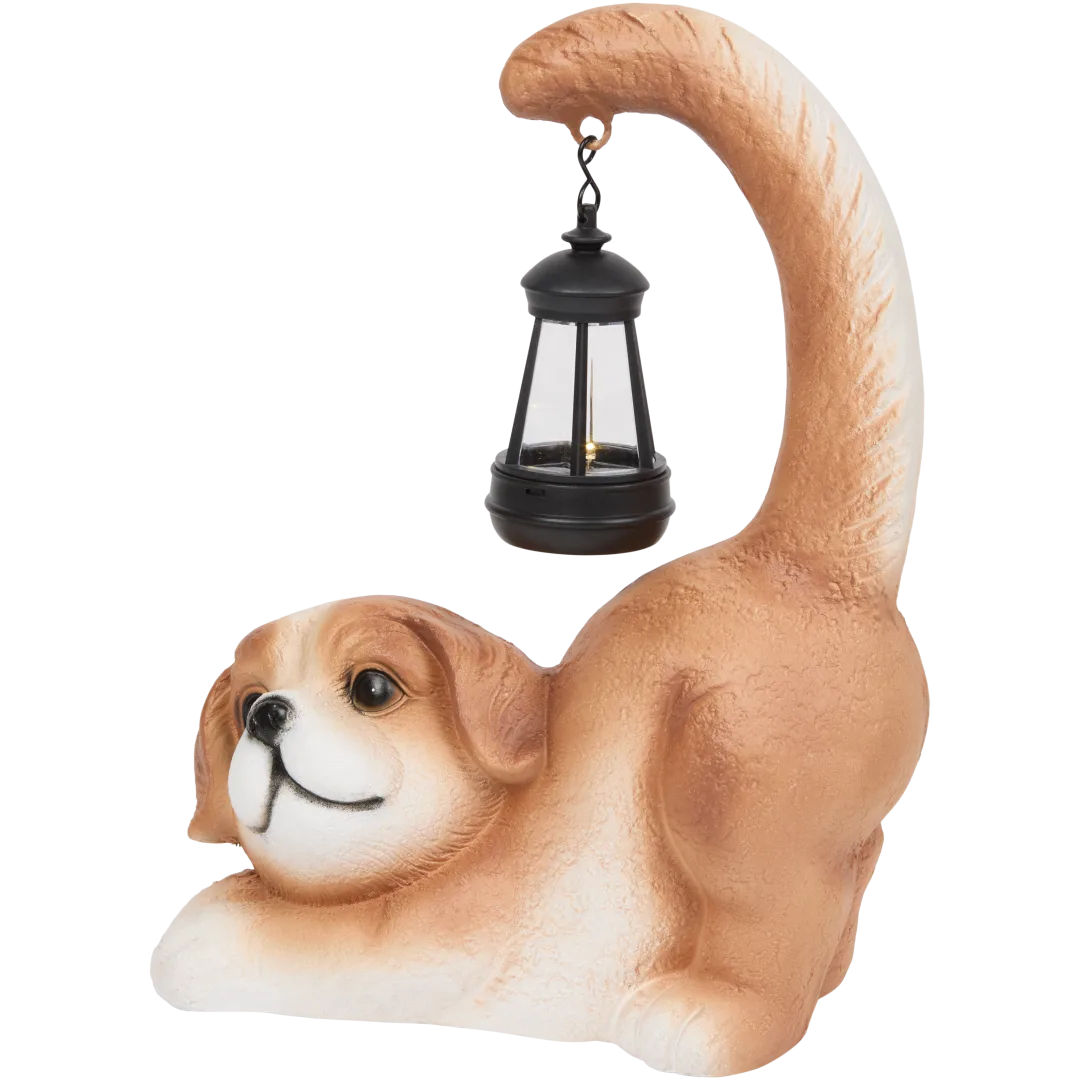 Décoration de jardin avec lampe solaire 1