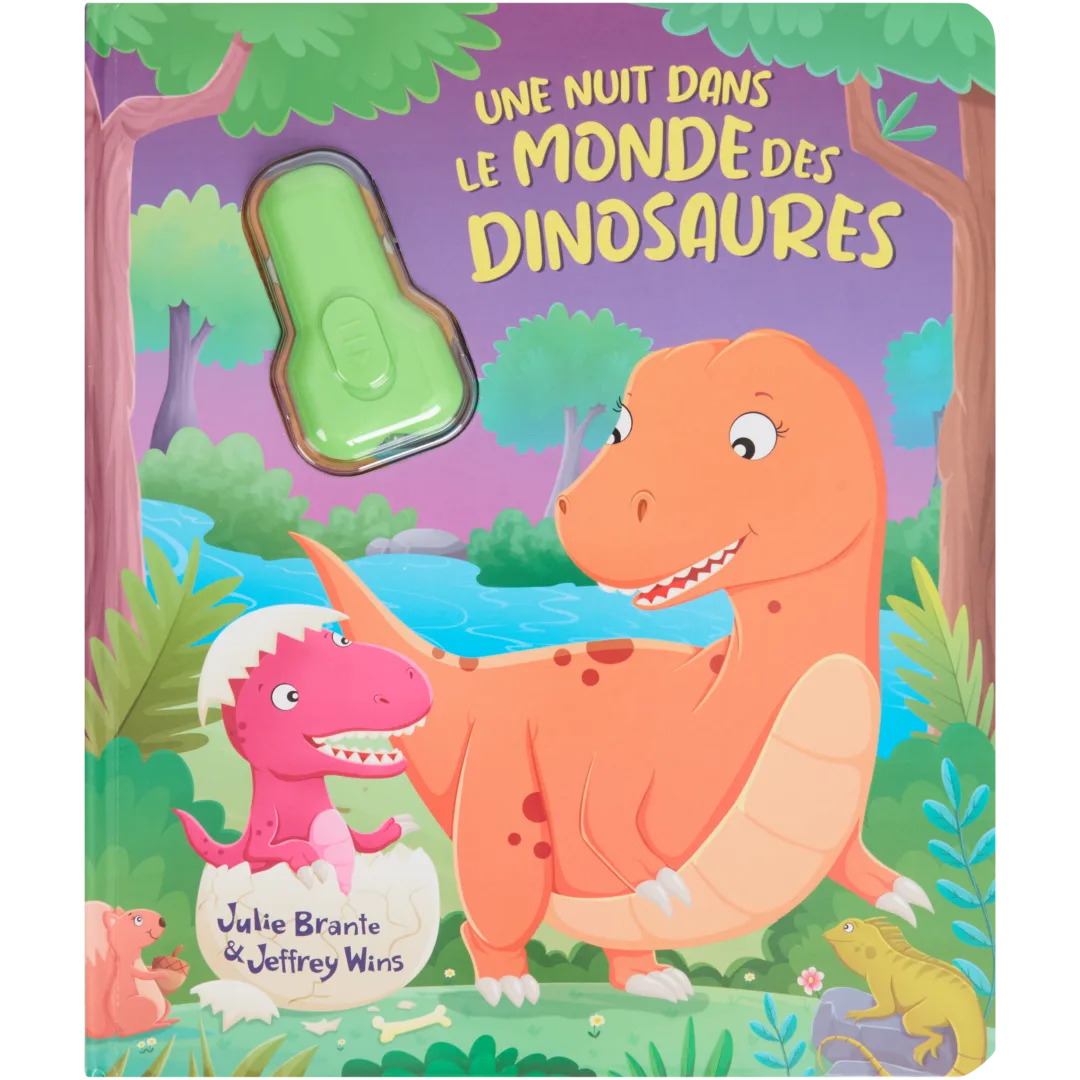 Livre avec lampe magique 3