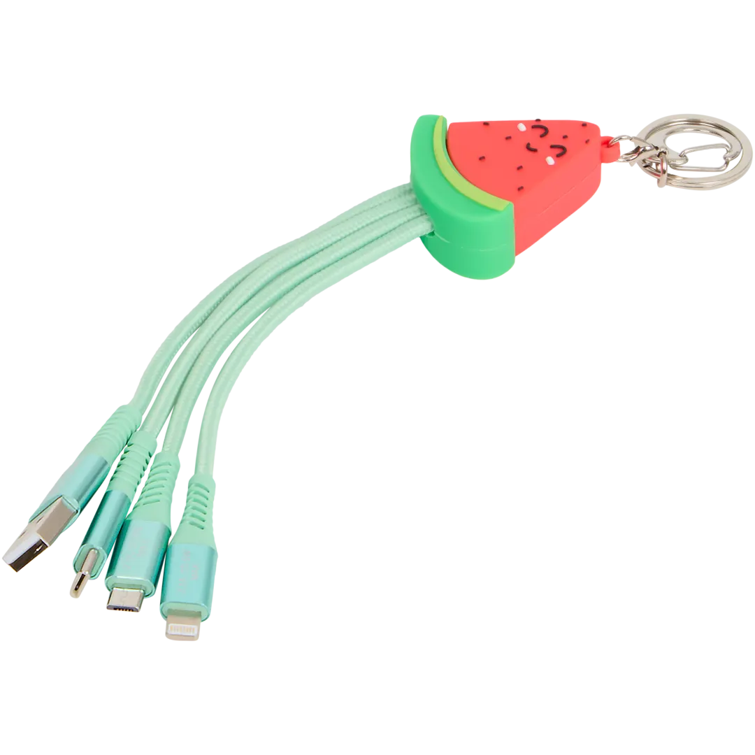 4-in-1 sleutelhanger met oplaadkabels 1